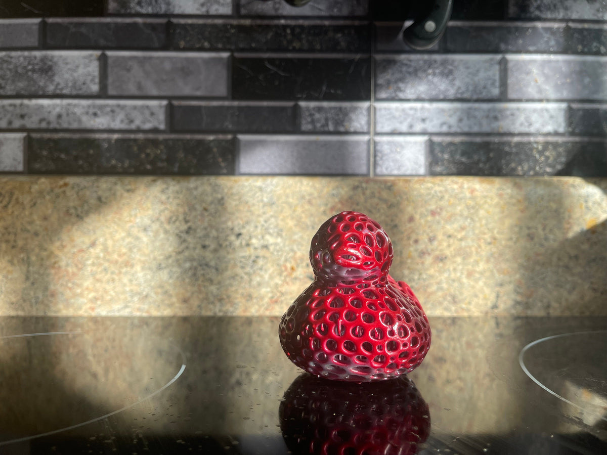Voronoi Turtle Rubber Duck